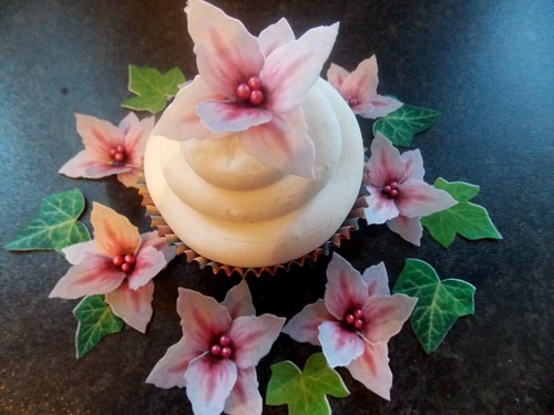 Edible pink lilac lily - 12,