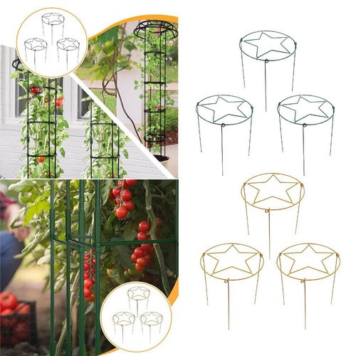 Plant support brace - support,