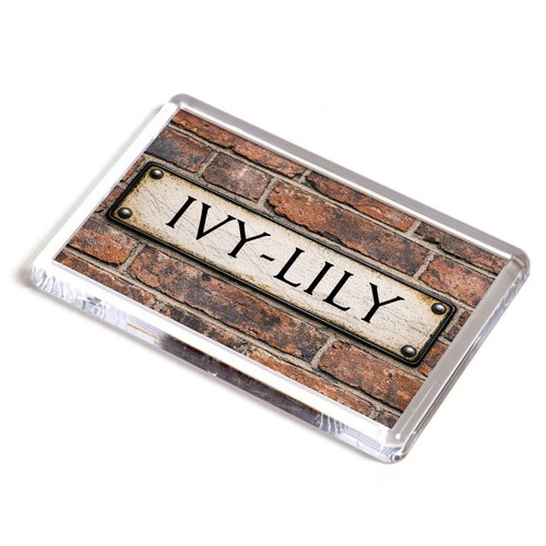 Fridge magnet ivy lily - magnet,